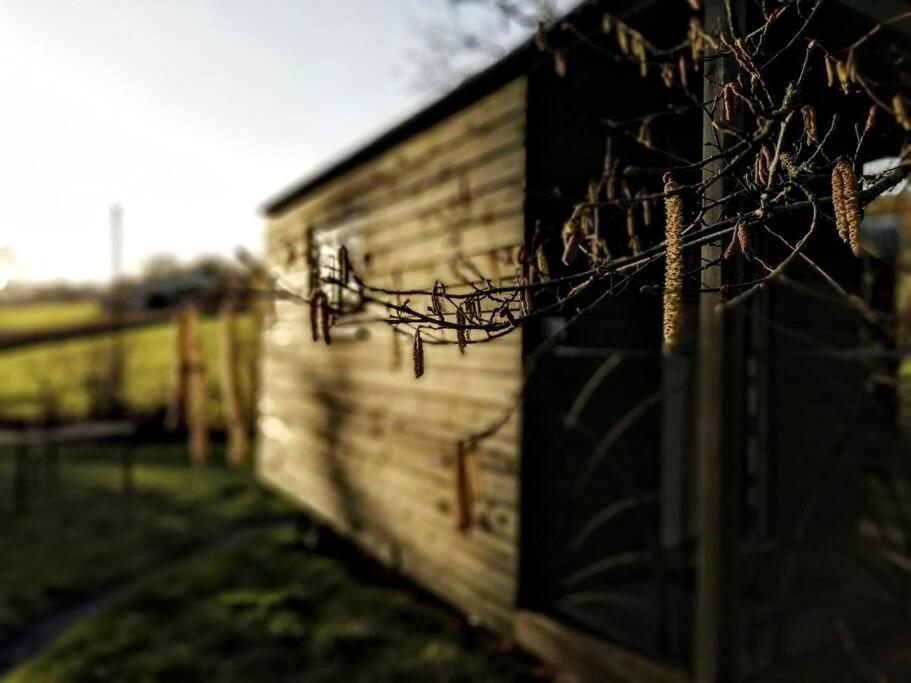 Penn Bergeyn Shepherd'S Huts Exeter Exterior photo