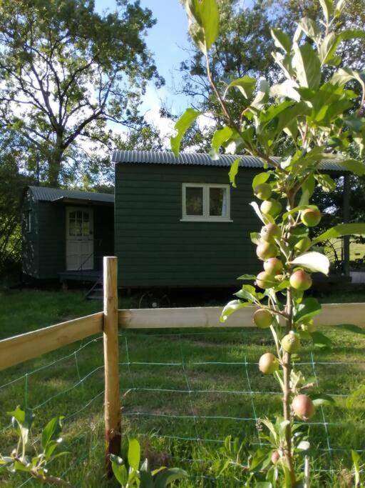 Penn Bergeyn Shepherd'S Huts Exeter Exterior photo